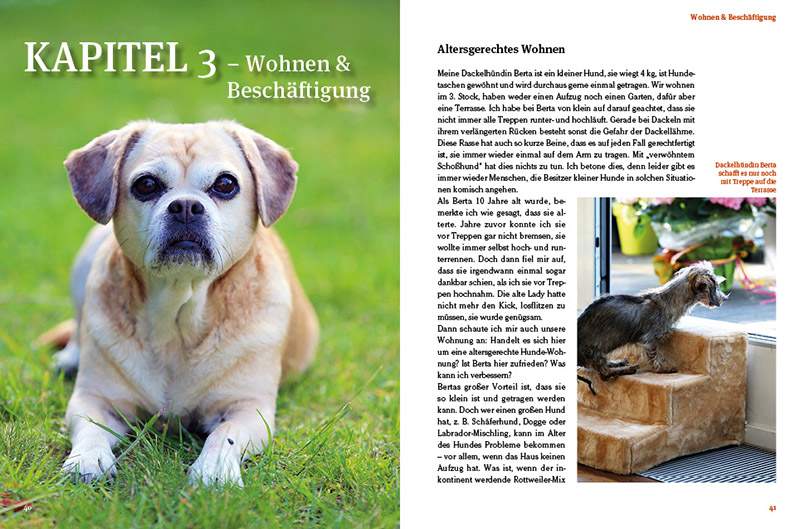 Preview: Hunde-Rentner